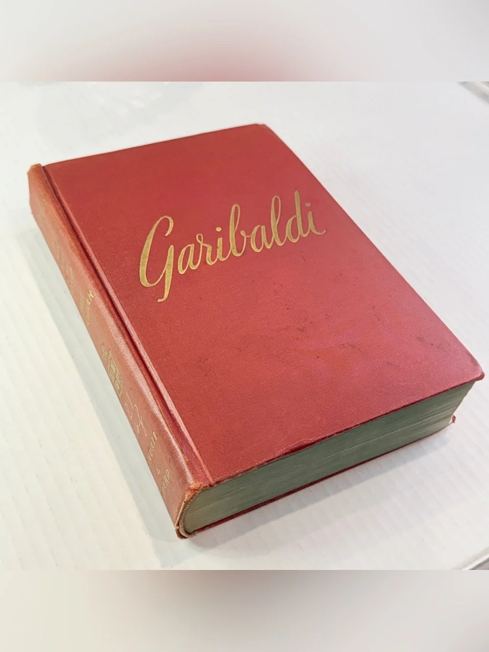 Garibaldi The Man and the Nation Hardcover Paul Frischauer Biography
